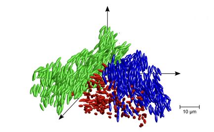 Descubren un nuevo estado de la materia: el vidrio líquido