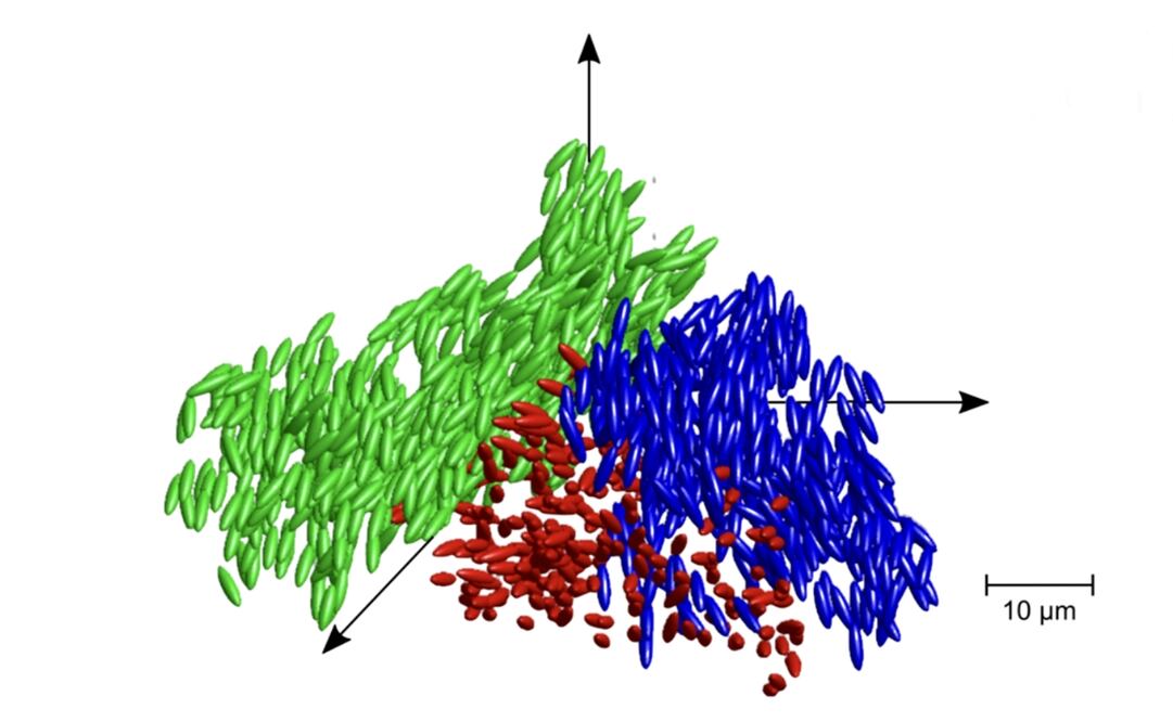 Descripción gráfica del vídrio líquido. Foto: UNIVERSIDAD DE CONSTANZA