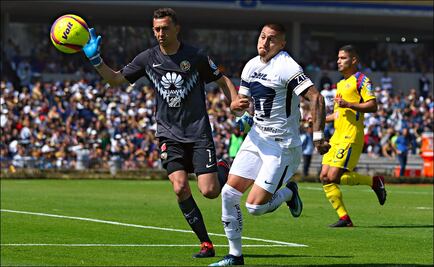 Los consejos de Marchesín a Nico Castillo