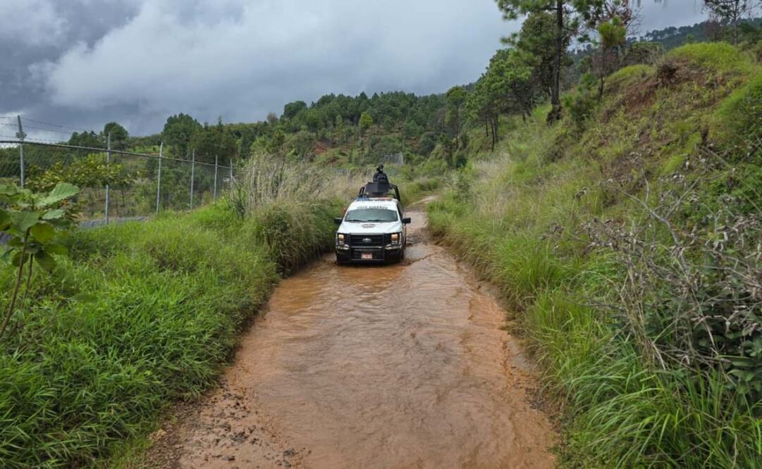Abaten a dos integrantes de grupo armado que atacó a elementos del Ejército en Michoacán (17/09/2025). Foto: Captura de pantalla
