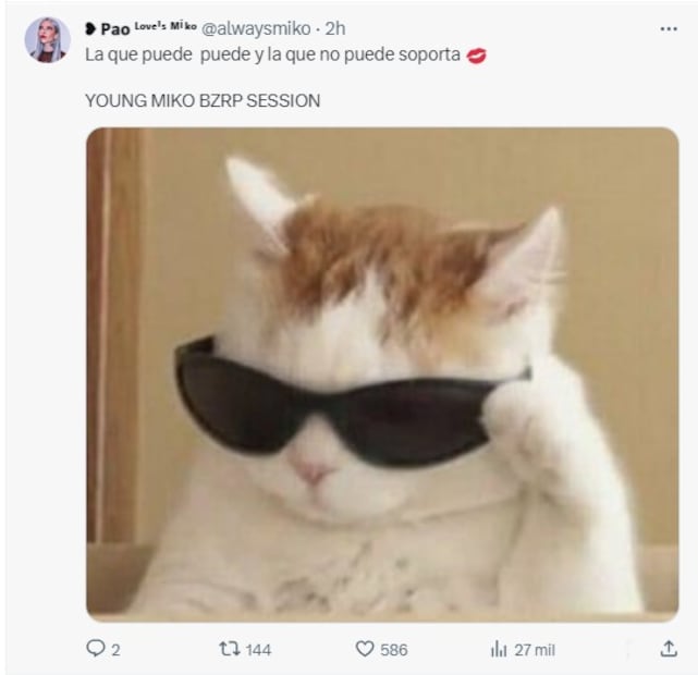 Meme sobre Young Miko