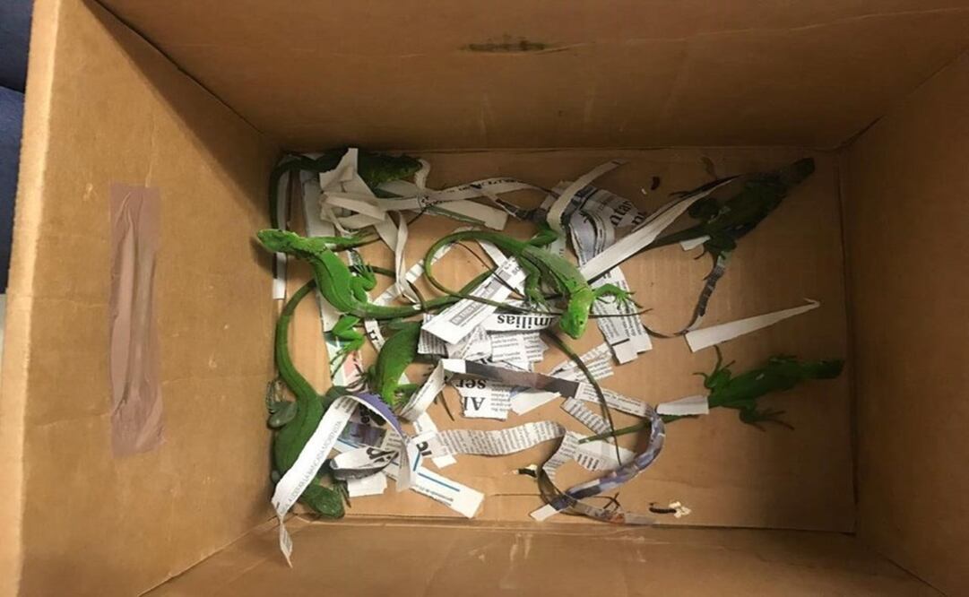 Fotografía: especial