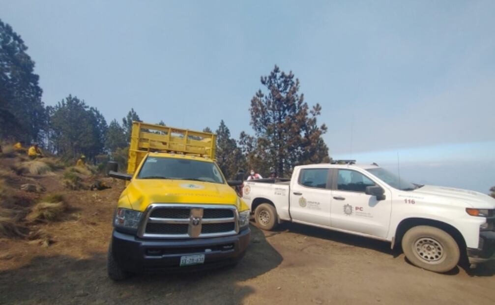 Reportan tres incendios forestales en la zona montañosa central de Veracruz