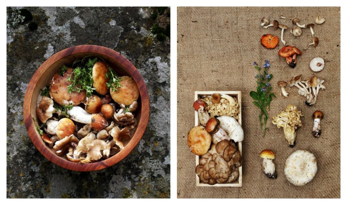 Foto: JASON THOMAS FRITZ