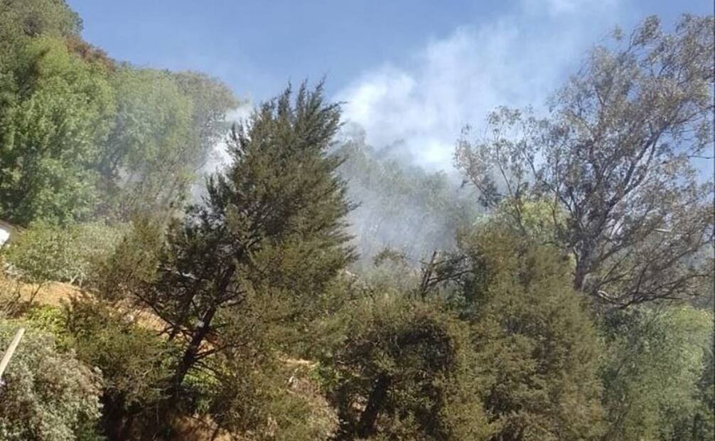 Incendio afecta al Parque Nacional el Chico, muy cerca de la población de Mineral del Chico Foto: Especial