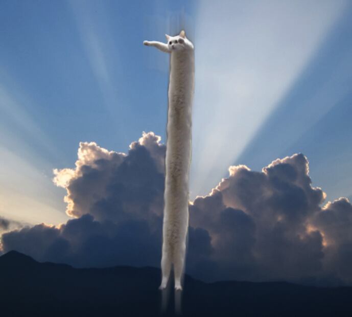 Adiós gatito. Murió Nobiko el “gato largo” que se hizo famoso en internet 