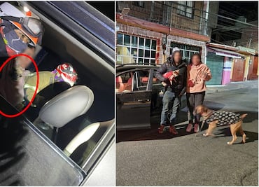 Se pierden con todo y perritos en Los Dinamos; Escuadrón de Rescate los encuentra