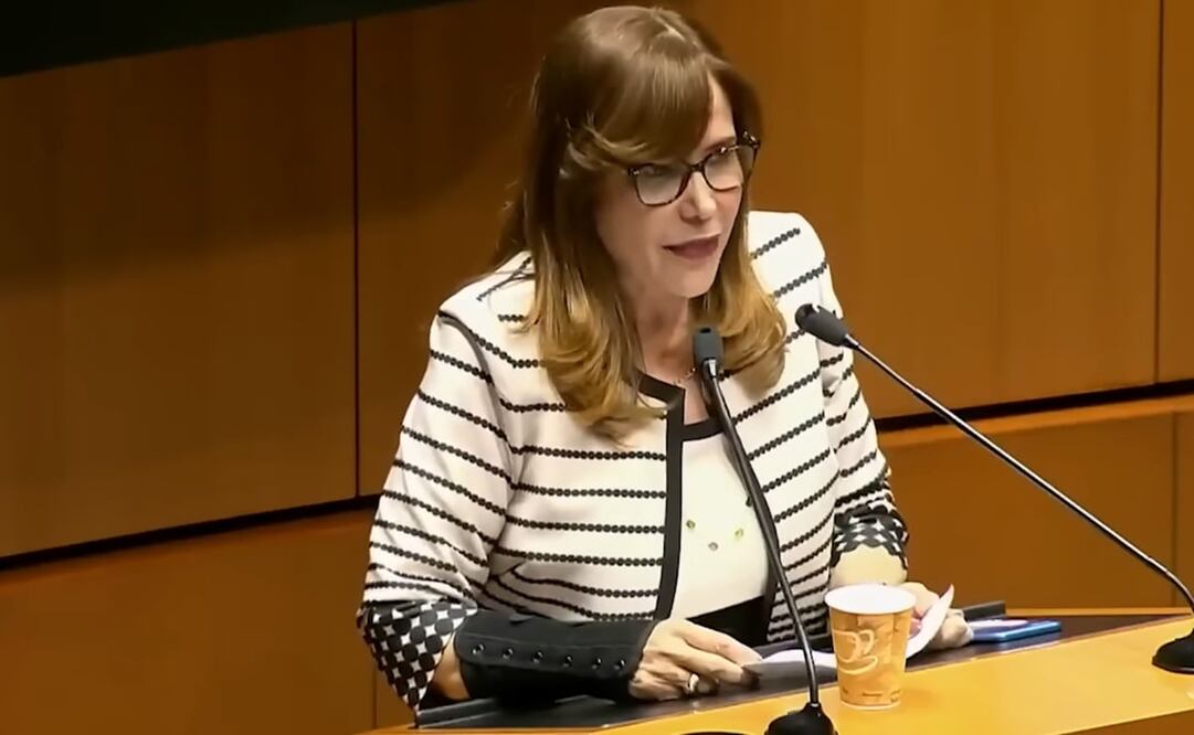 Polevnsky defendió la política exterior de López Obrador. Foto: Captura de pantalla.