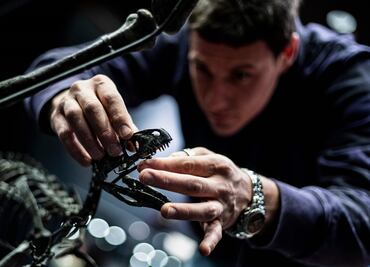 Antes del ser humano, fueron los dinosaurios los precursores del cambio climático