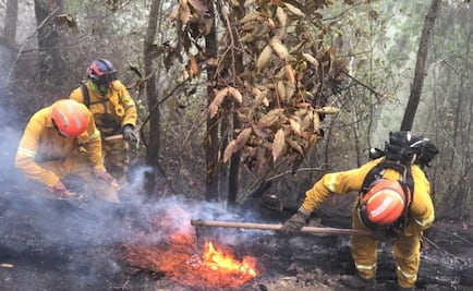 Extinguen 7 incendios forestales en Nuevo León; combaten otro en Guadalajara