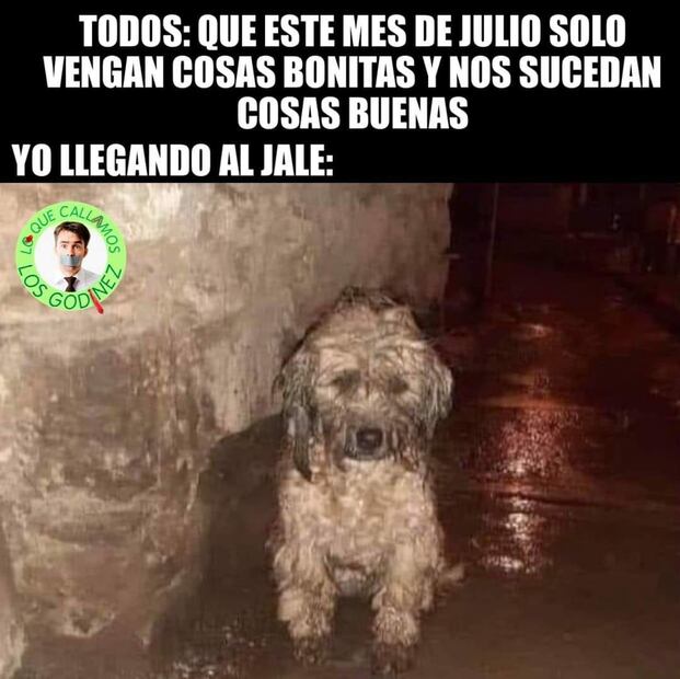 Memes Julio. Foto: Captura de pantalla