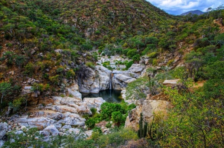 4 bosques mexicanos para viajar en primavera
