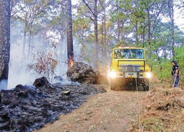 Declaran contingencia por incendio en área natural