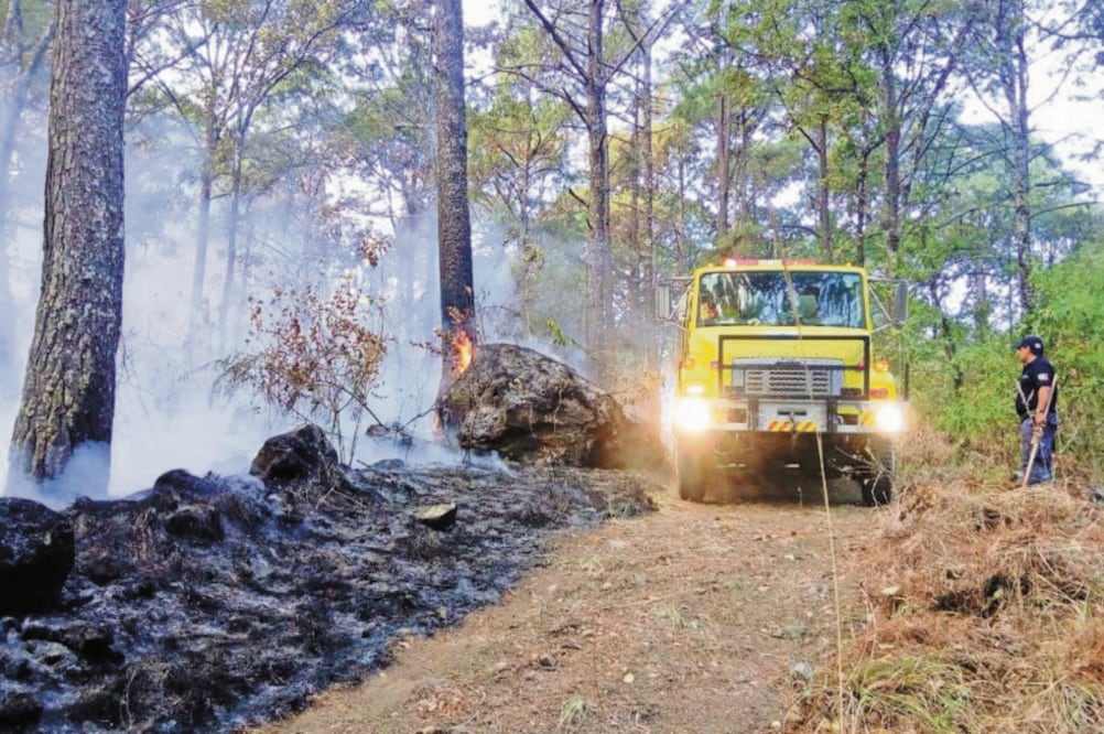 Personal de Protección Civil acudió al Parque Nacional Barranca del Cupatitzio, ubicado a 108 kilómetros de la capital michoacana, donde comenzó el siniestro desde la noche del martes. Foto: PC DE MICHOACÁN