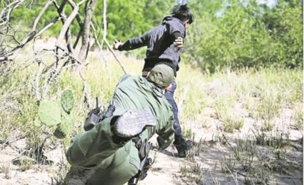 El Foco. Nuevo Diccionario Popular de AMLO, Anaya, Meade, Zavala y "El Bronco"