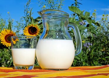 Mitos y realidades de la leche que no conocías