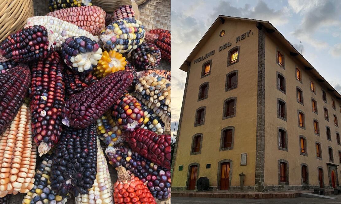 Avelina Lésper criticó el Museo del Maíz. Foto: Secretaría de Cultura Ciudad de México