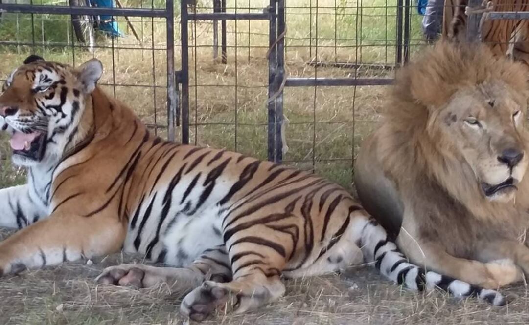 Foto: Cuauhtémoc Moreno