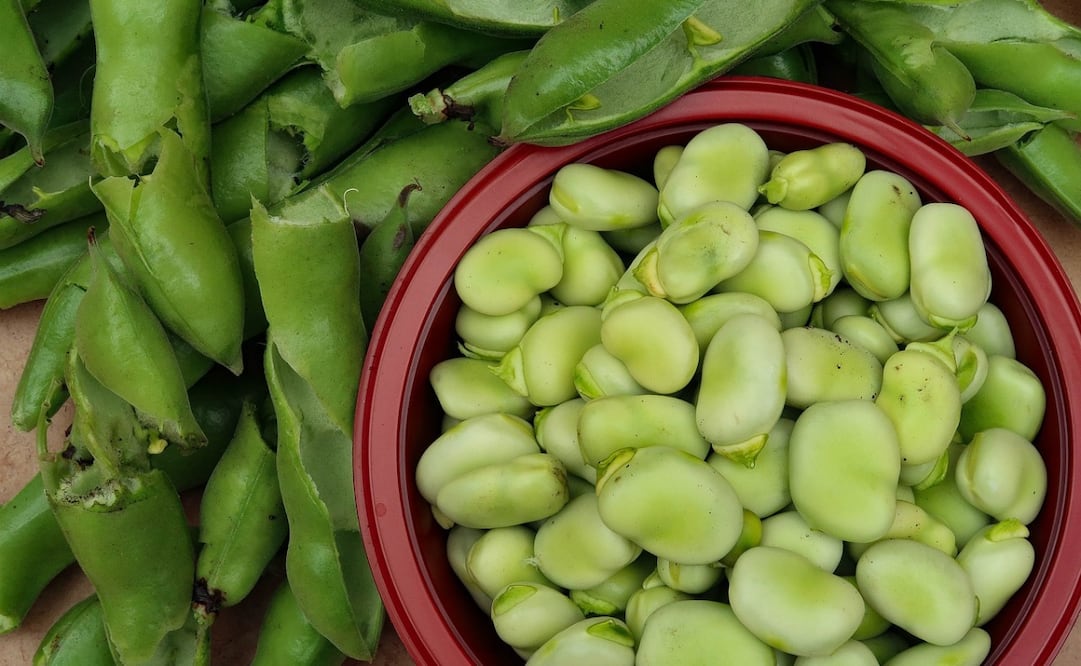Las habas son leguminosas más saciantes que las lentejas. Foto: Pixabay