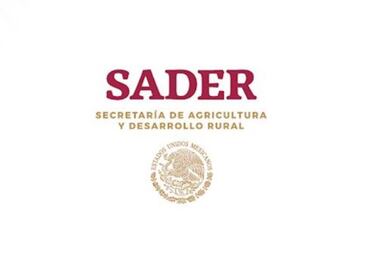 La austeridad republicana usa reloj