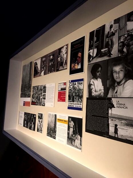 Moya festeja 85 años con exposición en Bellas Artes