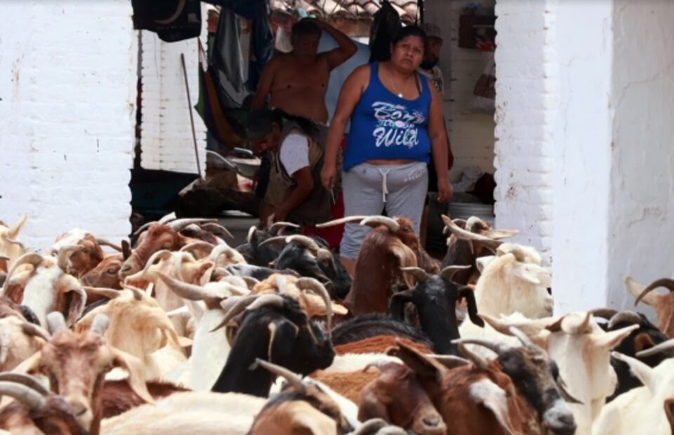 Quesos oaxaqueños, catrinas y otras tradiciones mexicanas, en las fotos de la semana