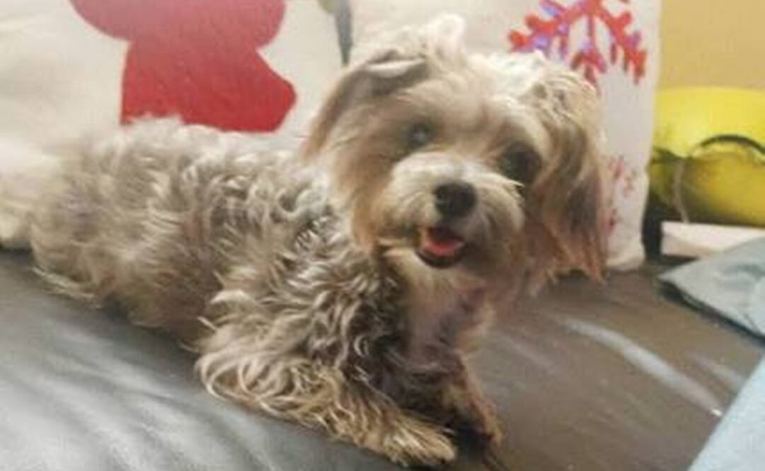 Foto: Redes sociales