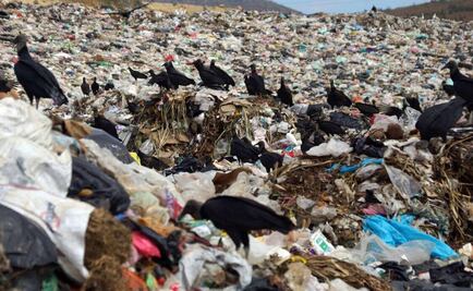 ​Tiraderos en Oaxaca, focos de riesgo ambiental