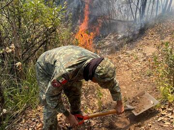 Intentan mitigar incendios forestales con drones y helicópteros en el Edomex