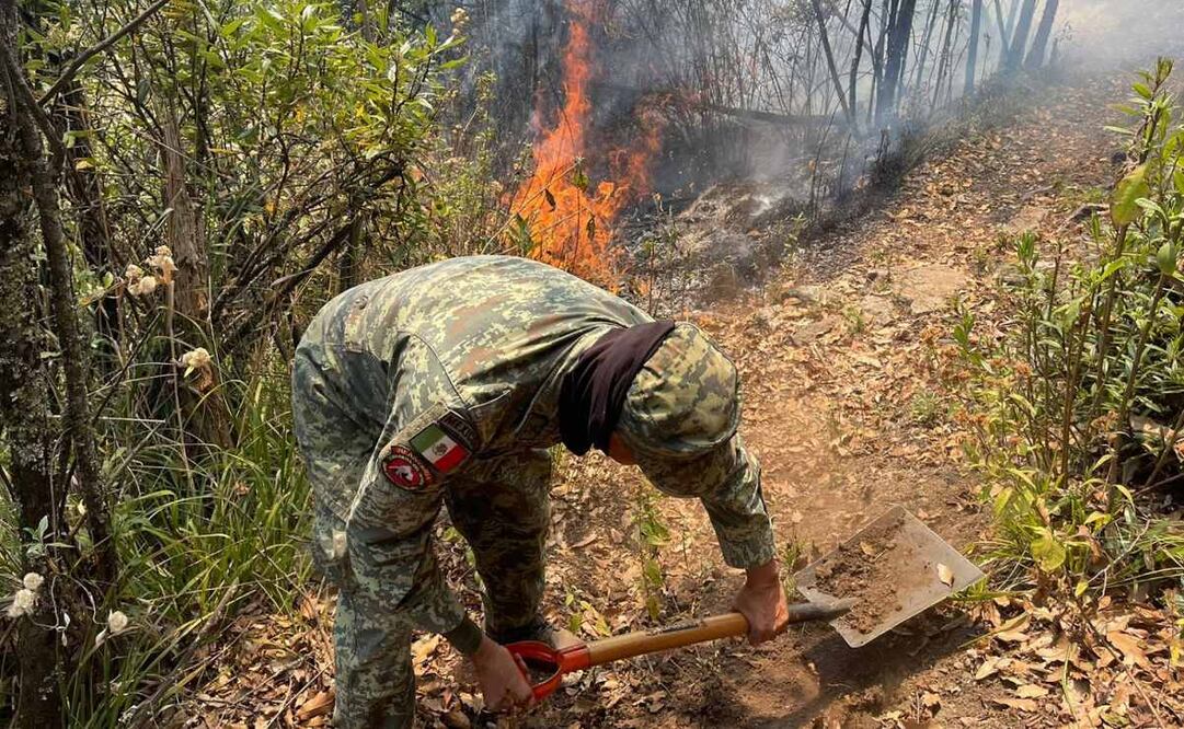 Incendio forestal. Foto: Especial