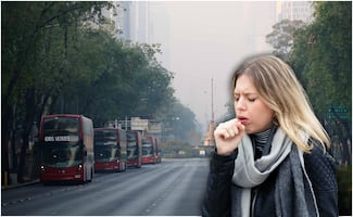 Contingencia ambiental en CDMX: ¿cómo proteger tu salud de la mala calidad del aire?