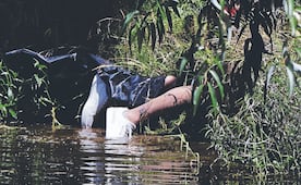 Hallan cuerpo de un hombre flotando en el Canal Nacional