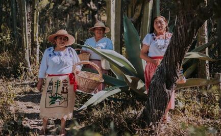  Xincoyote relleno de escamoles, la receta ganadora del concurso A qué sabe la Patria