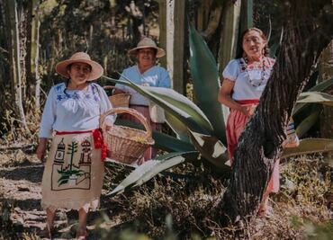 Xincoyote relleno de escamoles, la receta ganadora del concurso A qué sabe la Patria