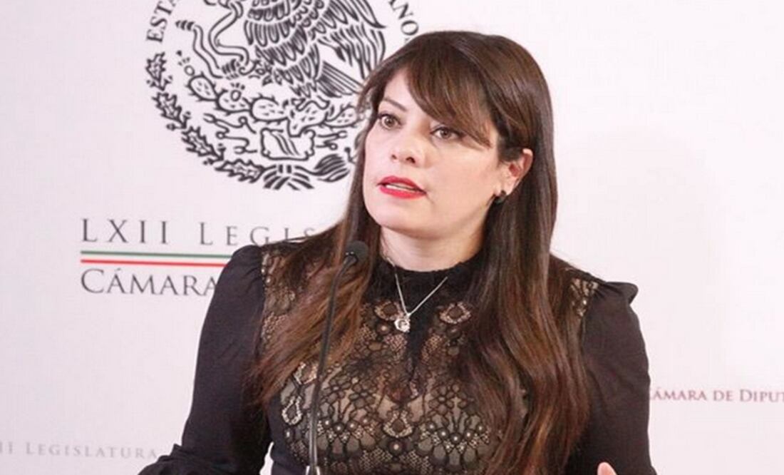 Lilia Aguilar Gil, diputada federal por el PT. (Foto: Tomada de www.blog.liliaaguilar.com)