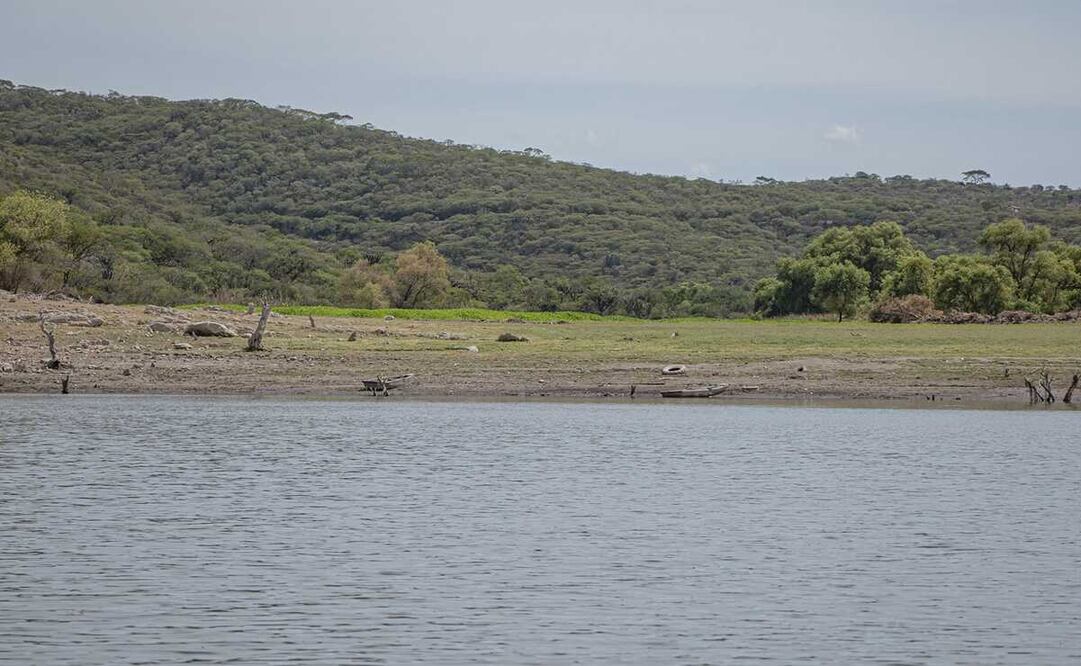 Foto ilustrativa: Archivo/EL UNIVERSAL 