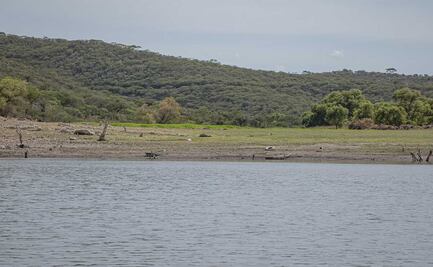 Temporada de lluvias cobra su sexta víctima en río de Sinaloa