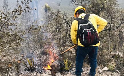 Controlan incendio forestal en Bustamante, Tamaulipas; 40 hectáreas resultaron afectadas