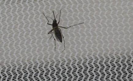 Cuba reports first case of Zika in Venezuelan doctor