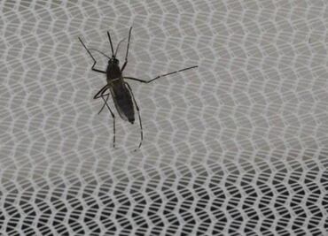 Cuba reports first case of Zika in Venezuelan doctor