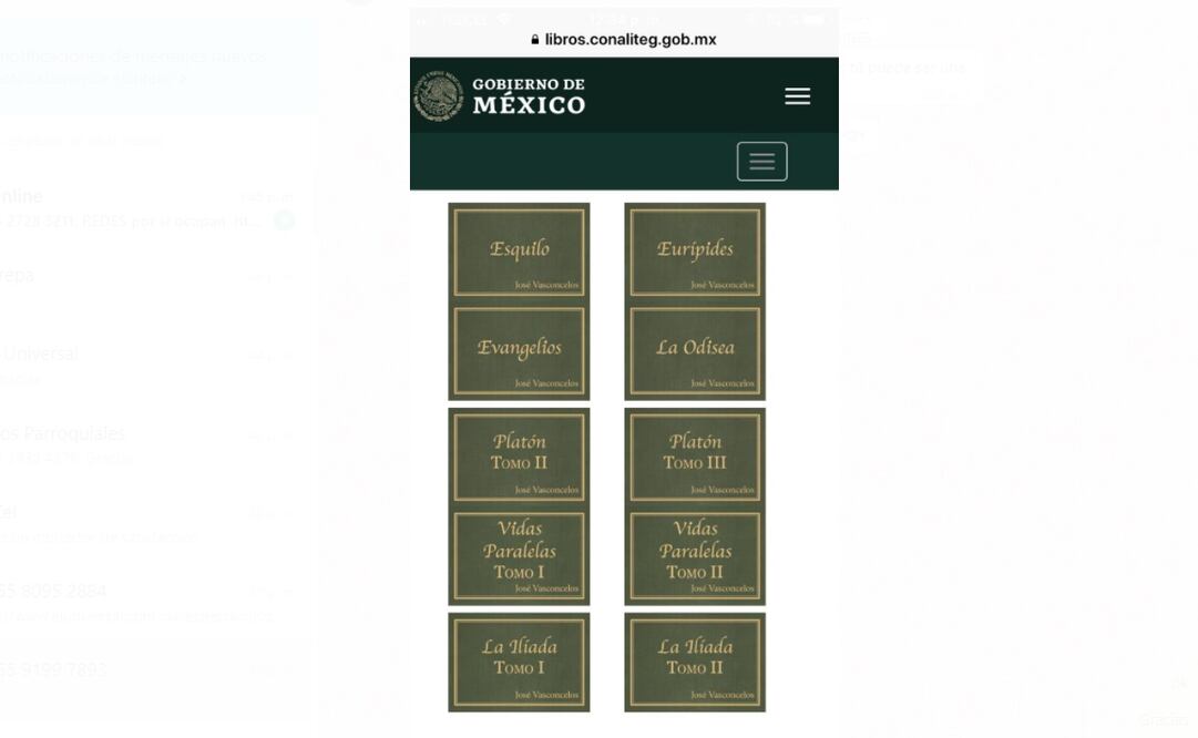 Comisión Nacional de Libros de Texto Gratuitos. Foto: Captura