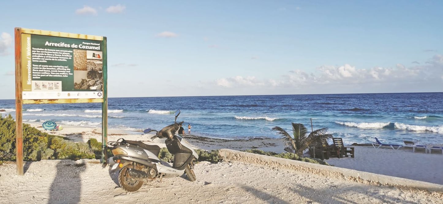 Quintana Roo es la porción del arrecife mesoamericano más afectada por el síndrome blanco, el cual es capaz de matar a los corales en menos de 40 días, señalan especialistas. ADRIANA VARILLAS. EL UNIVERSAL