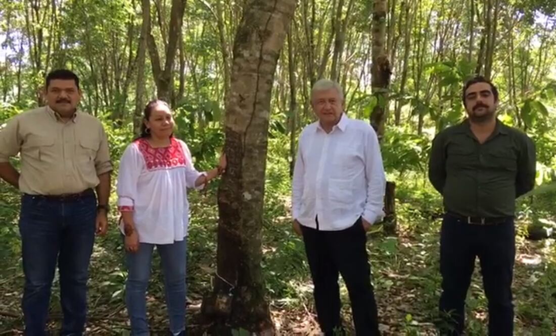 Foto: captura de pantalla