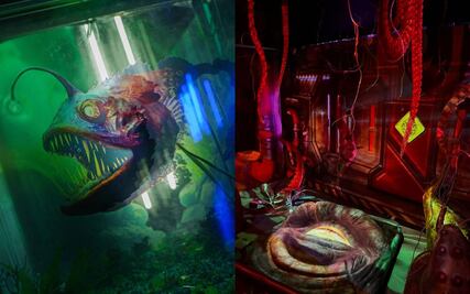 Encuentro con monstruos marinos en la expo de Acuario Inbursa