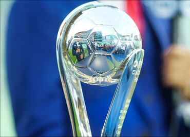 ¿Qué equipo lleva más años sin ser campeón de la Liga MX?