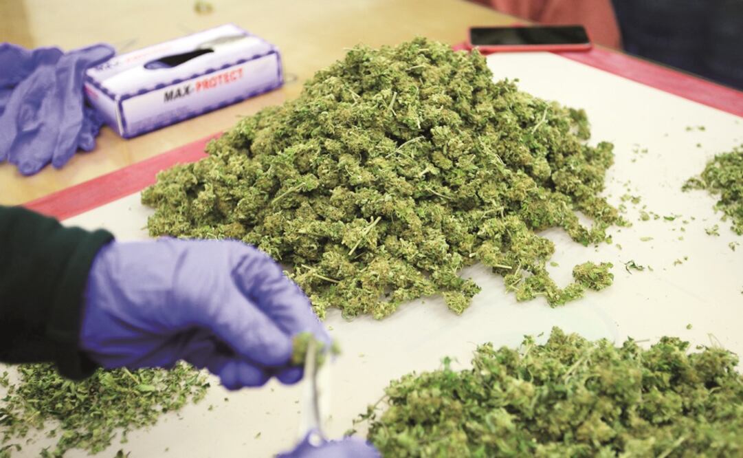 Foto: Archivo / EL UNIVERSAL