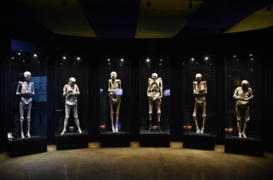 Proyecto de nuevo Museo de las Momias de Guanajuato con centro comercial violenta normatividad