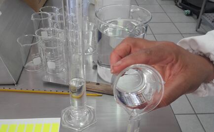 Crean recubrimientos para preservar frutas