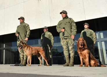 Max, perrita que participó en detención de Caro Quintero, cierra ciclo en la Marina y se jubila