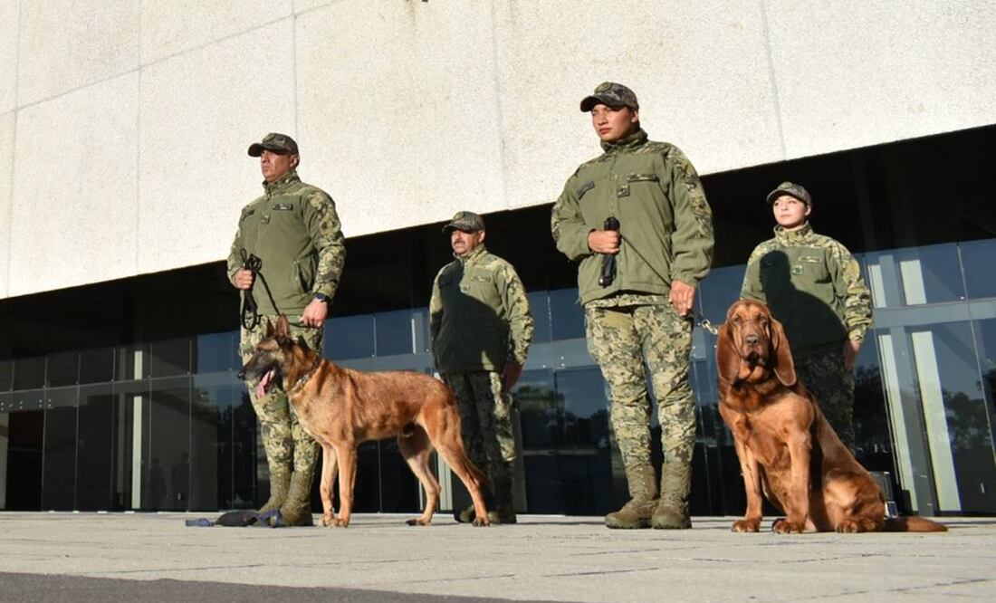 La dependencia realizó una ceremonia en la que reconoció la labor de ambos elementos y exaltó su trayectoria. Foto: Semar